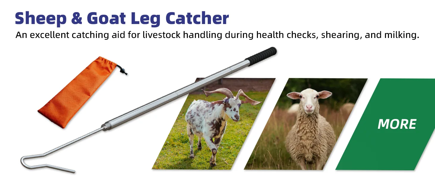 Sheep and goat leg catcher overview