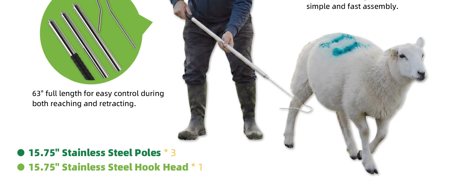 Stainless steel and smooth hook details