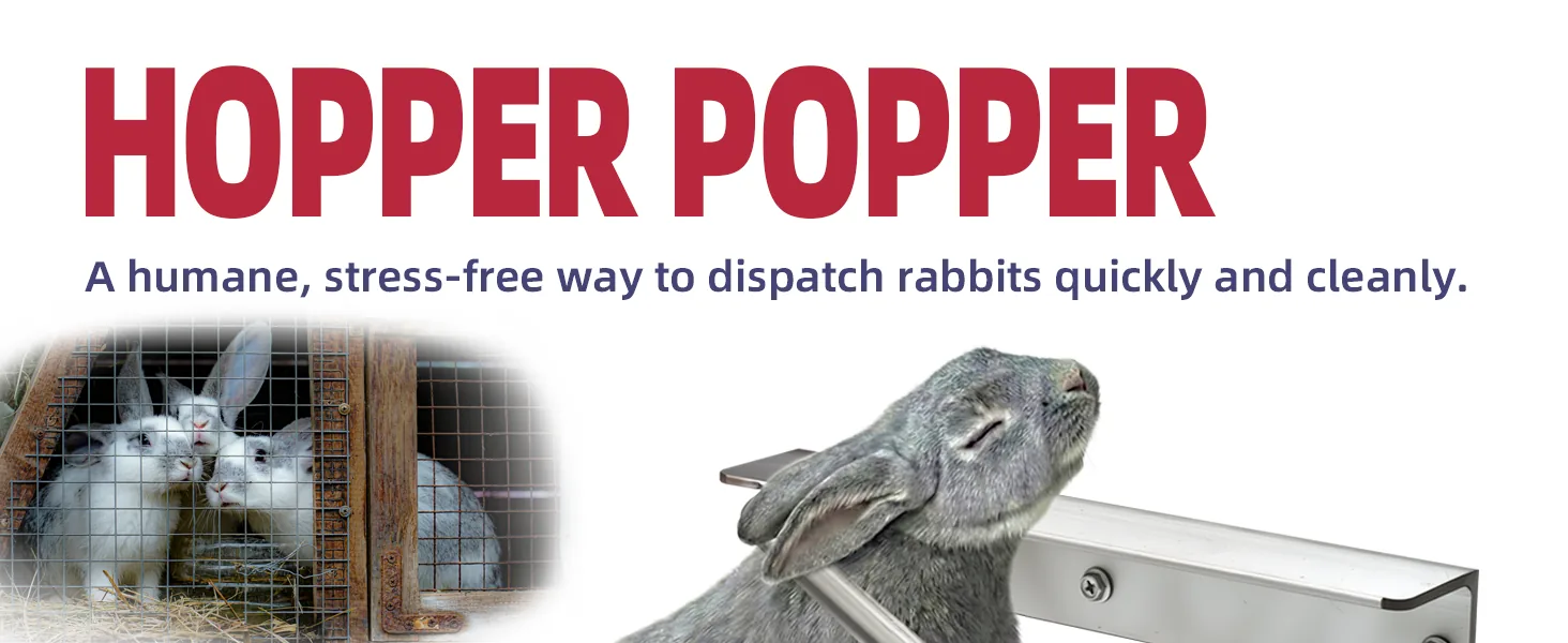 Hopper Popper Tool Set A+ image 1